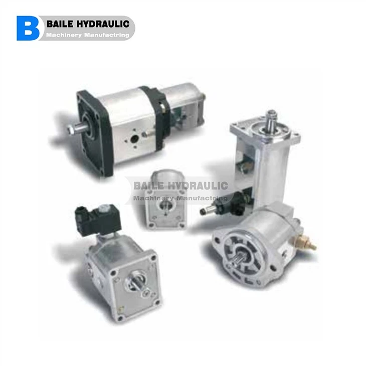 CASAPPA KAPPA Series Cast Iron Body Gear Pumps And Motors K.20-4 K.20*6,3K.20-8 K. 20*11,2 K.20-14 K.20-16 K. 20*20 K.20-25 K. 20-31,5 K.30-27 K.30-34 K.30-38 K.30-43 K.30-51 K.30*56 K.30*61 K.30*73