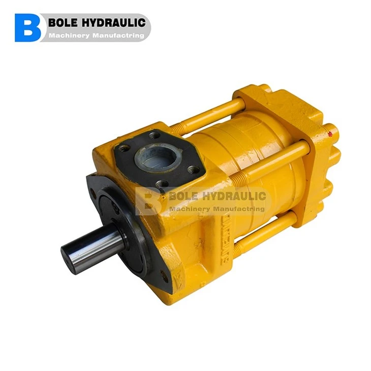 Gear Pump 115L-BI-4H3-4P-20BSP20-250